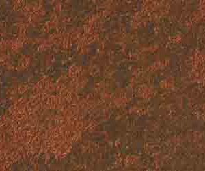 BRONZE V 1813